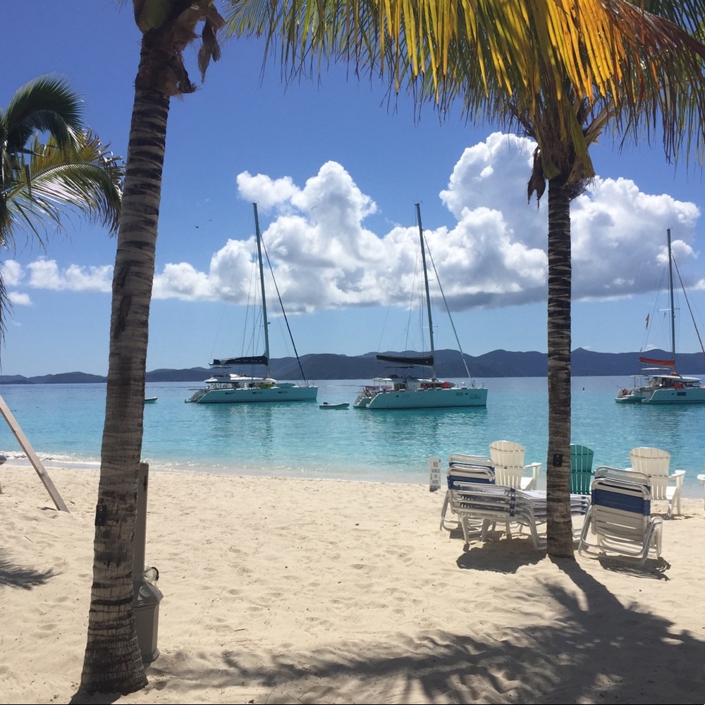 Meet your Posher, Gina